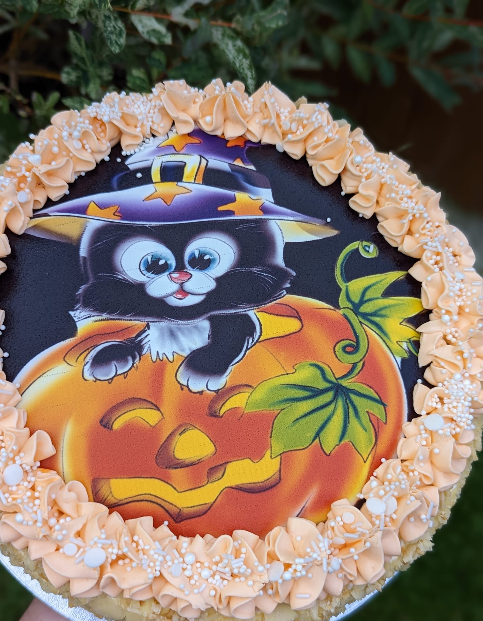 Pumpkin or Carrot Cake